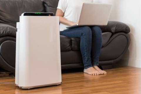 Can I Move My Air Purifier From Room To Room