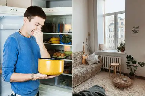 How To Get Rid Of Cooking Smells In Small Apartment