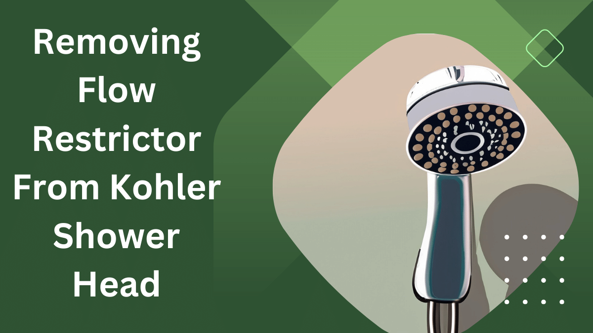 Flow Restrictor from Kohler Shower Head