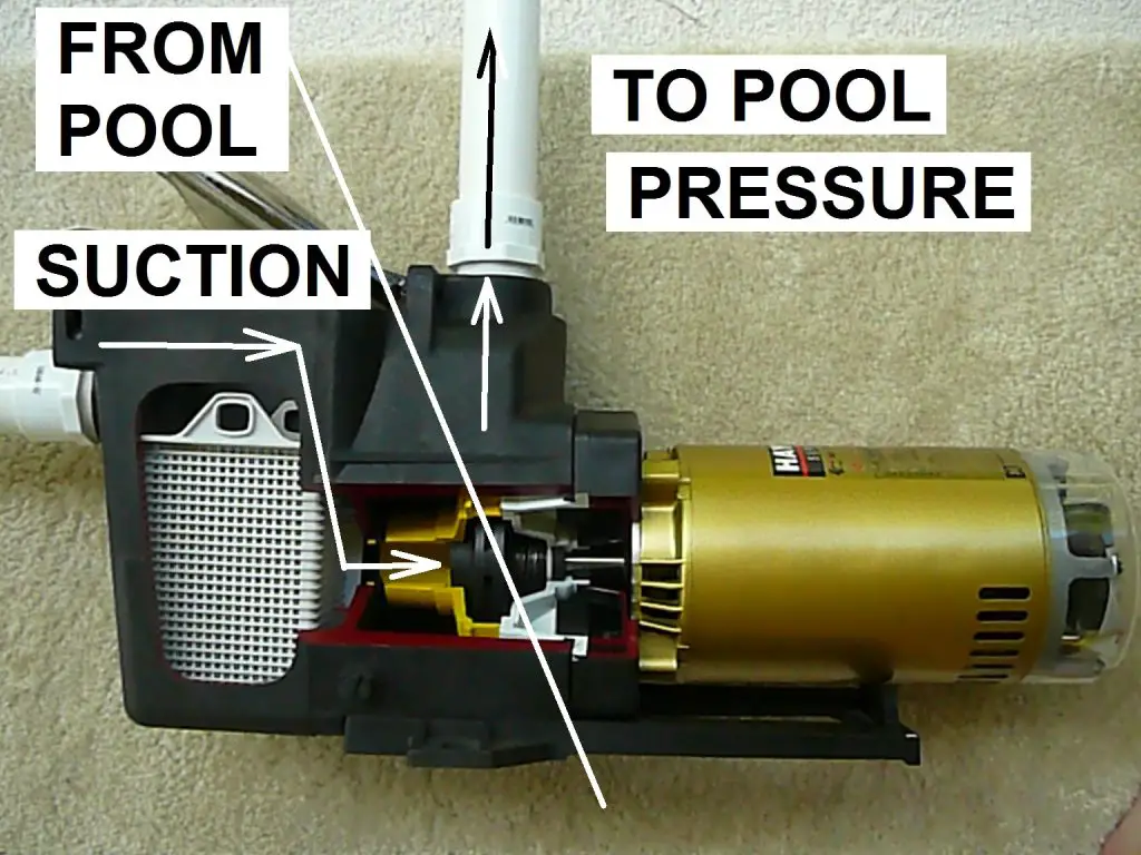 Pool Pump Losing Pressure When Vacuuming Home Advisor Blog   2b27545658d84a029c88943daeaa41a0 1024x768 