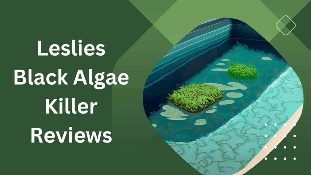 Leslie’s Black Algae Killer