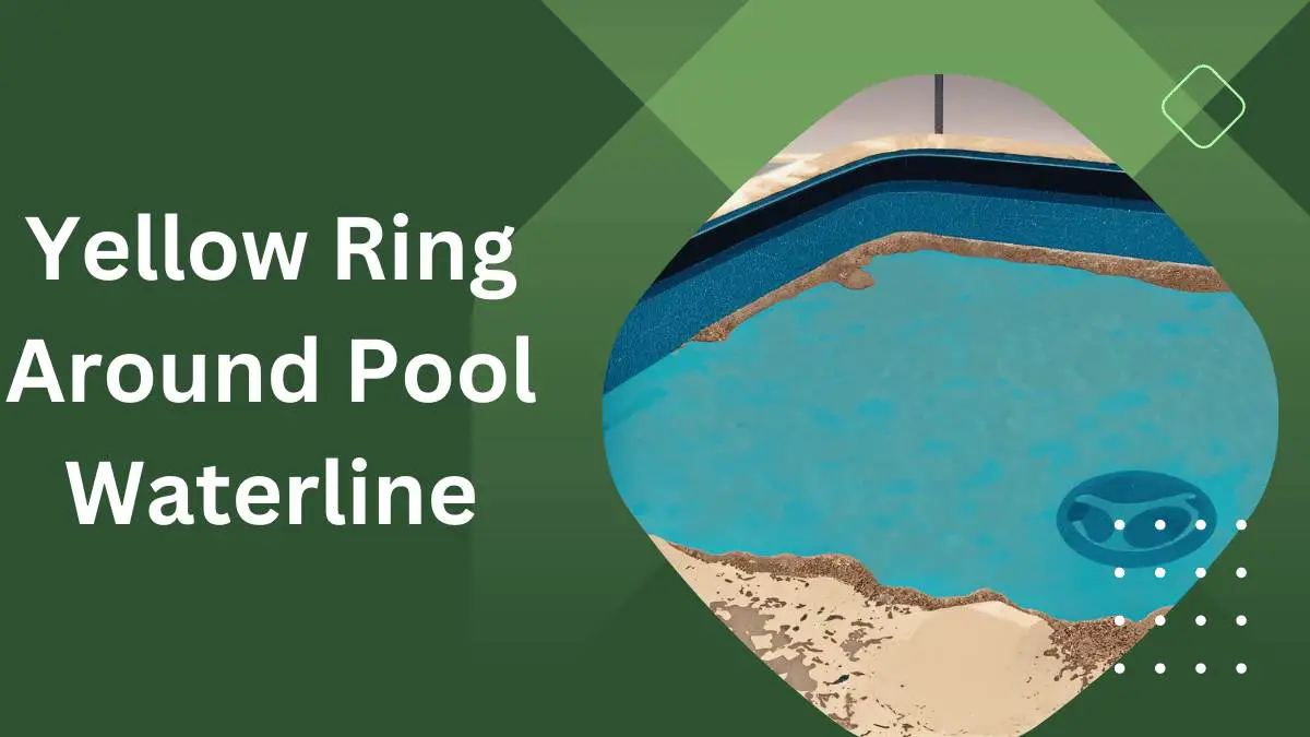 Yellow Rings around Pool Waterline