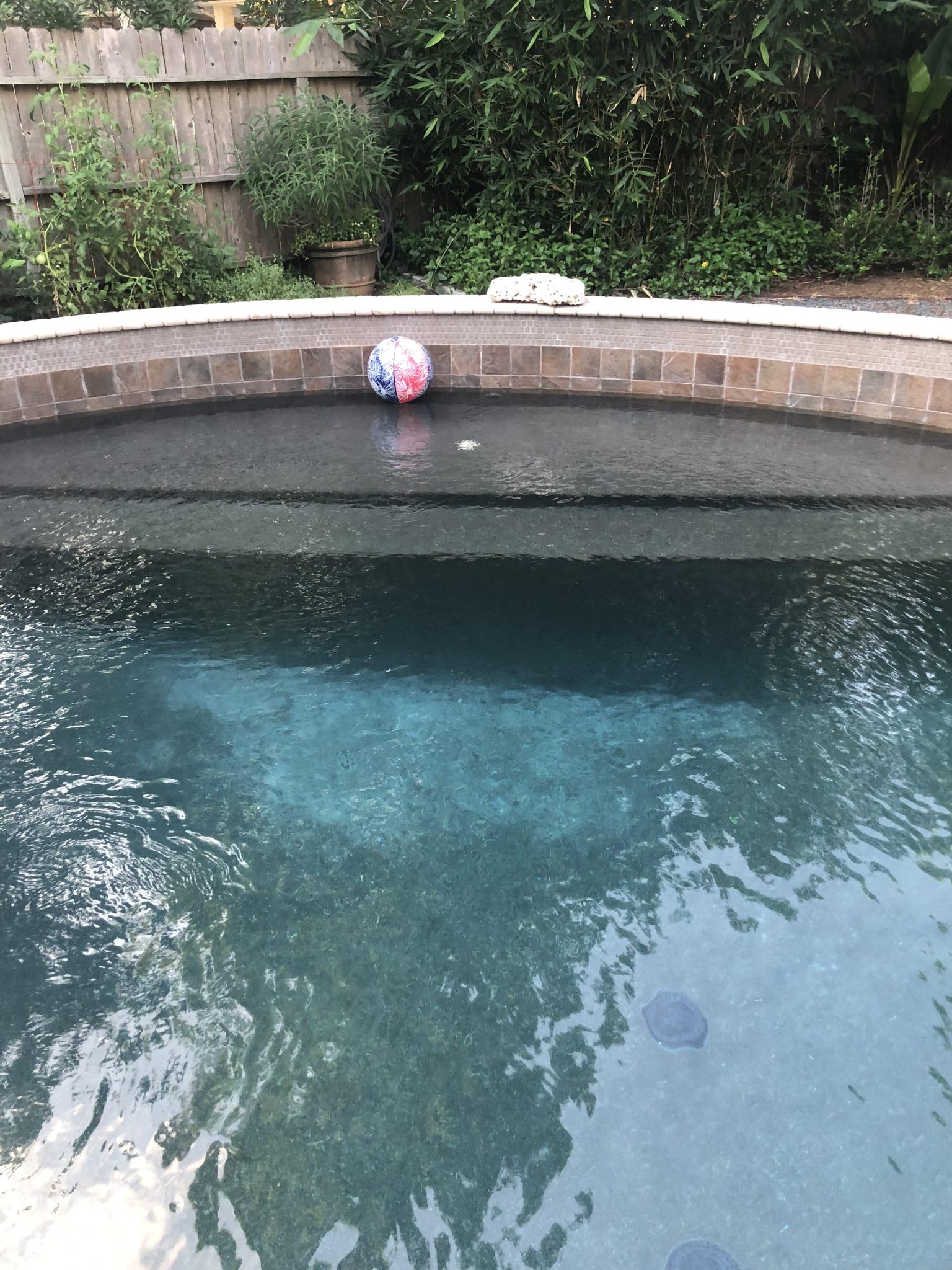 How to Get Stains Out of Pebble Tec A Comprehensive Guide Home